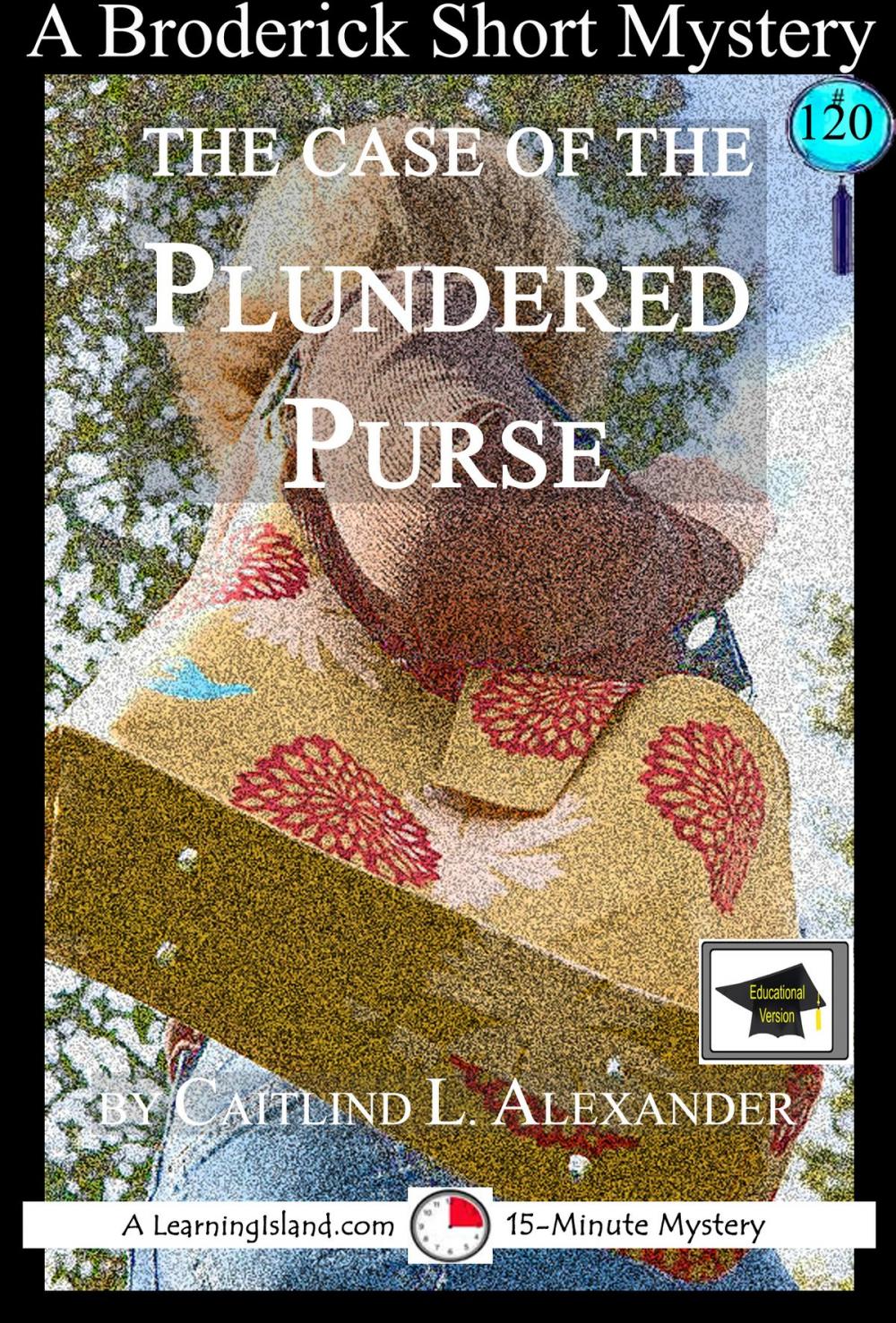 Big bigCover of The Case of the Plundered Purse: A 15-Minute Brodericks Mystery, Educational Version