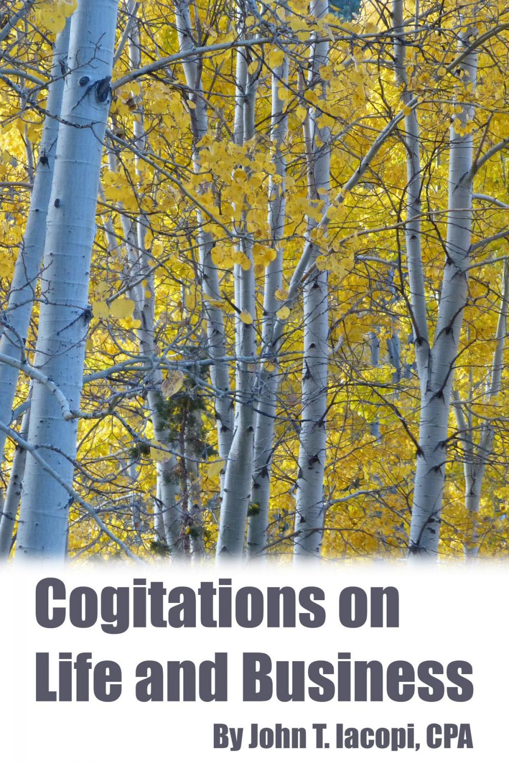 Big bigCover of Cogitations on Life and Business