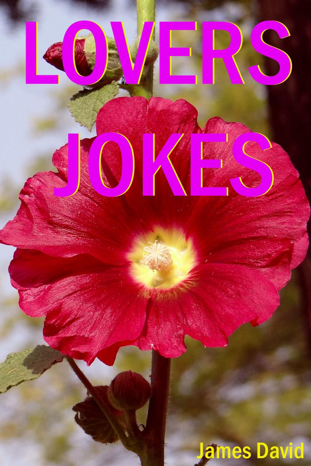 Big bigCover of Lovers Jokes