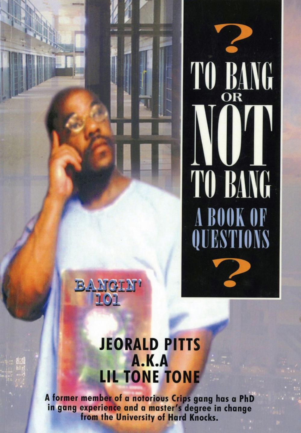 Big bigCover of To Bang or Not to Bang? A Book of Questions