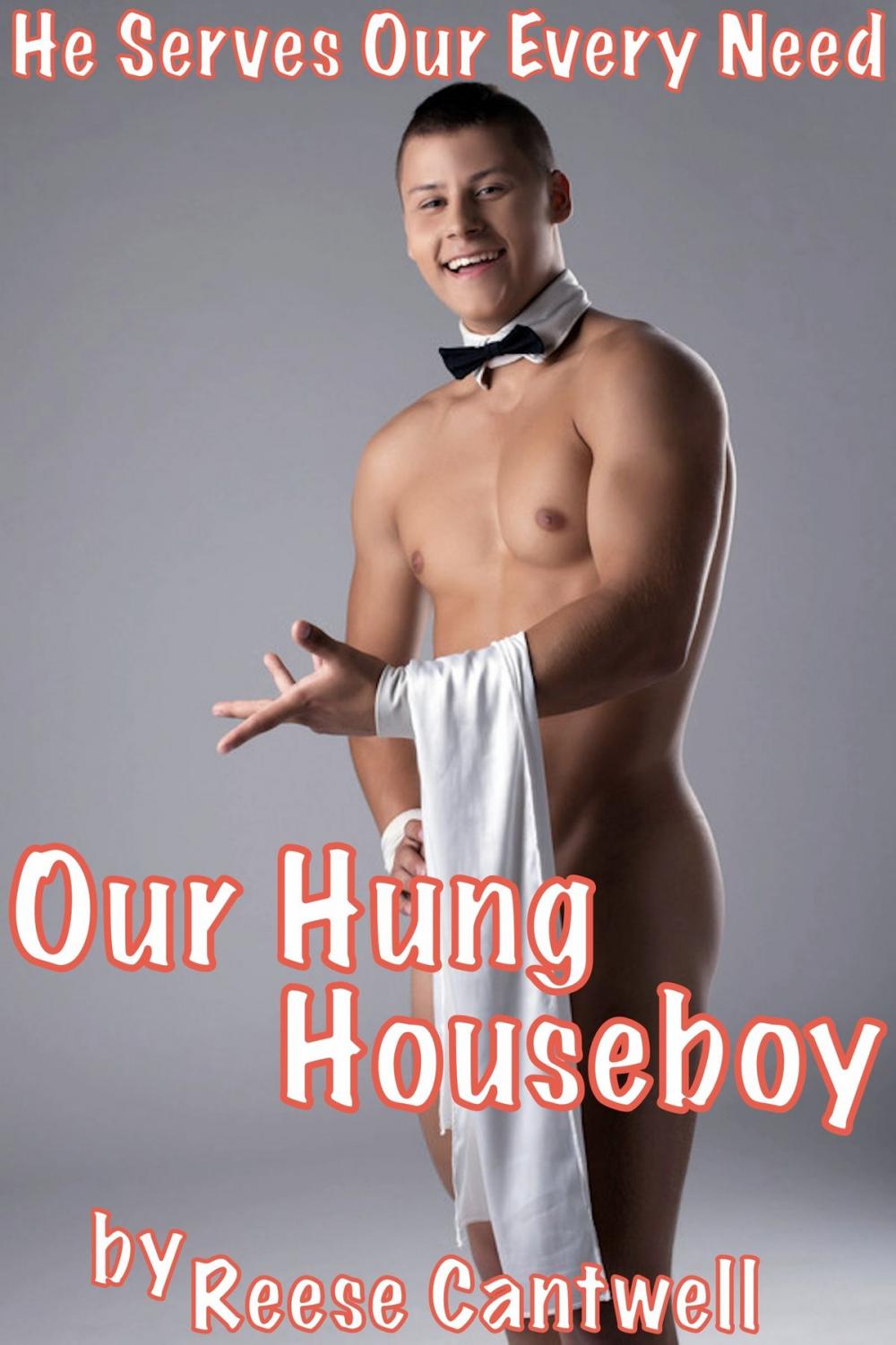 Big bigCover of Our Hung Houseboy: He Serves Our Every Need