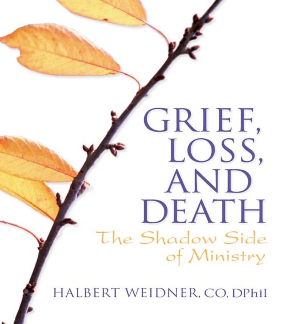 Big bigCover of Grief, Loss, and Death