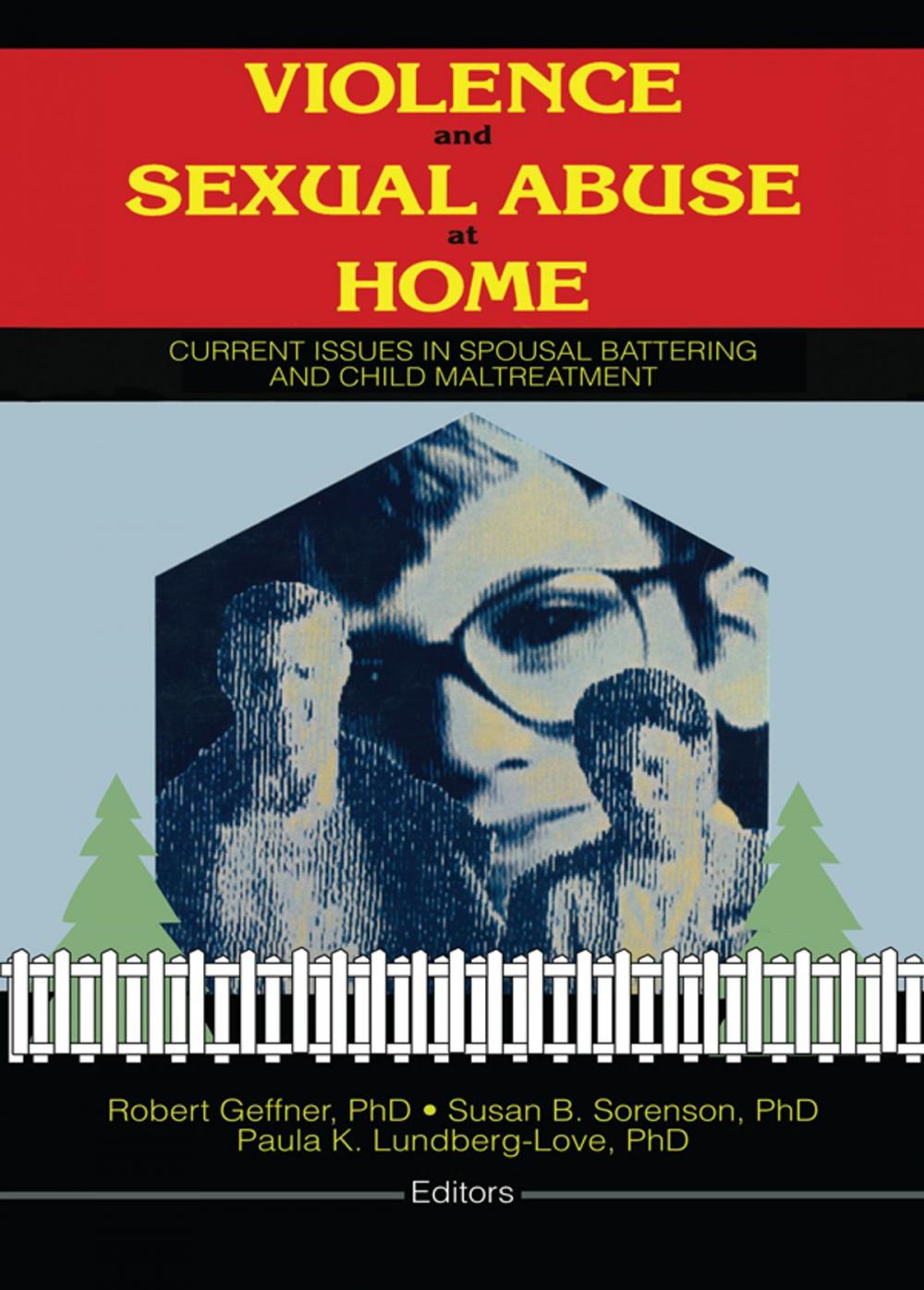 Big bigCover of Violence and Sexual Abuse at Home