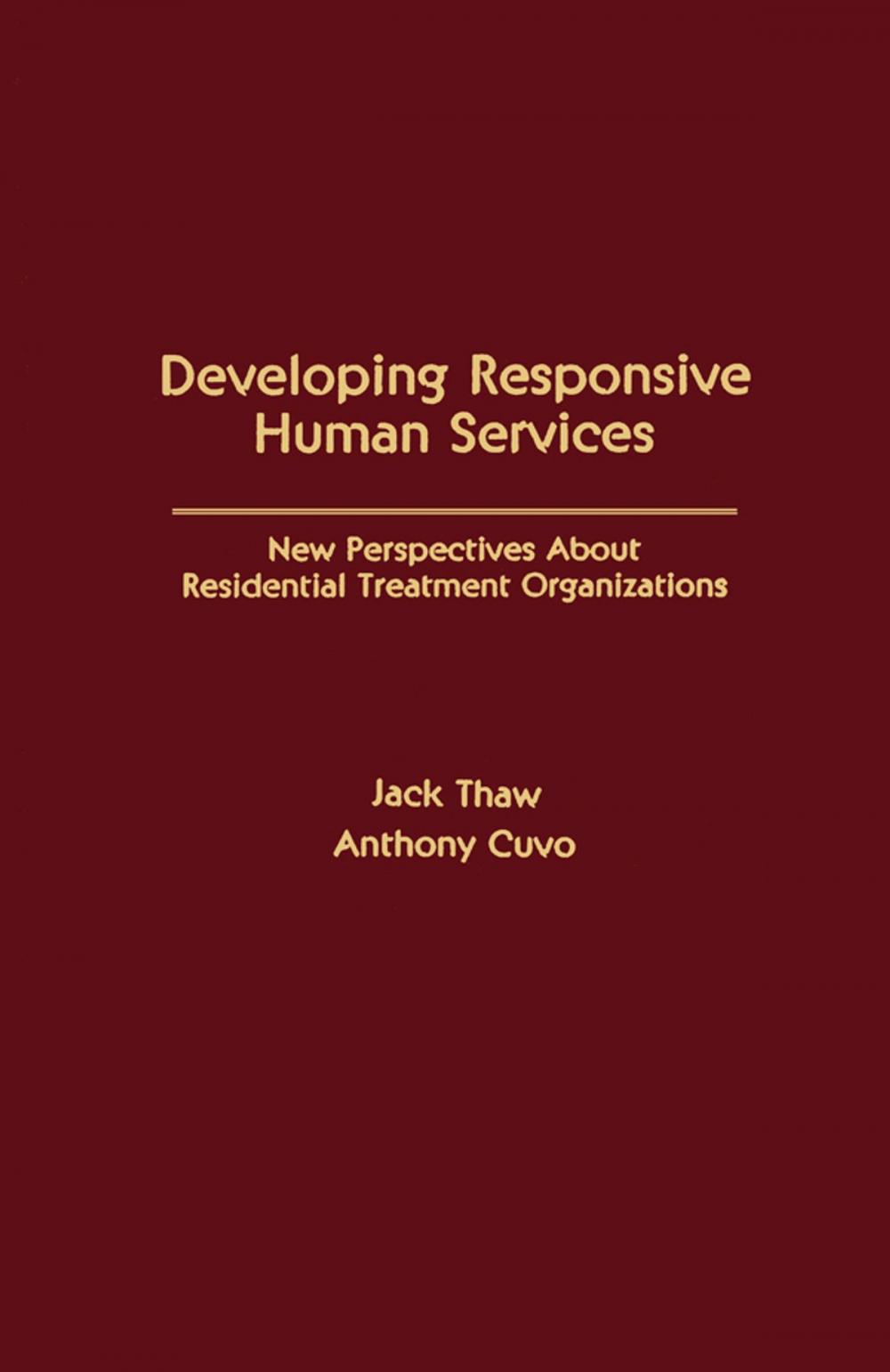 Big bigCover of Developing Responsive Human Services