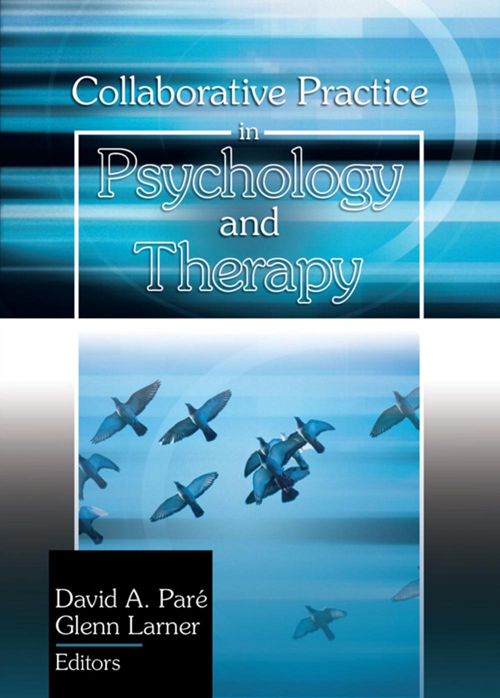 Big bigCover of Collaborative Practice in Psychology and Therapy