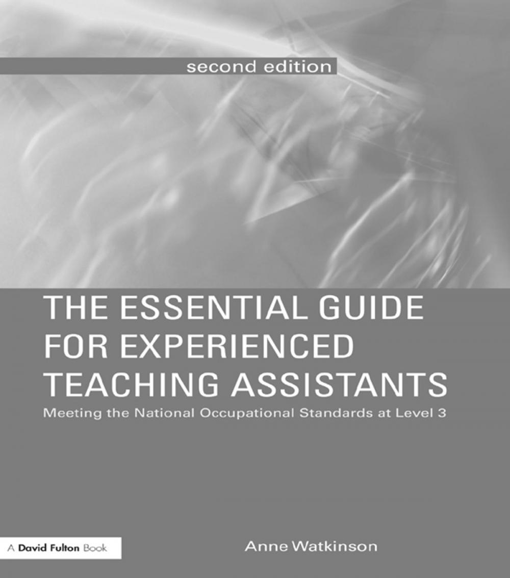 Big bigCover of The Essential Guide for Experienced Teaching Assistants