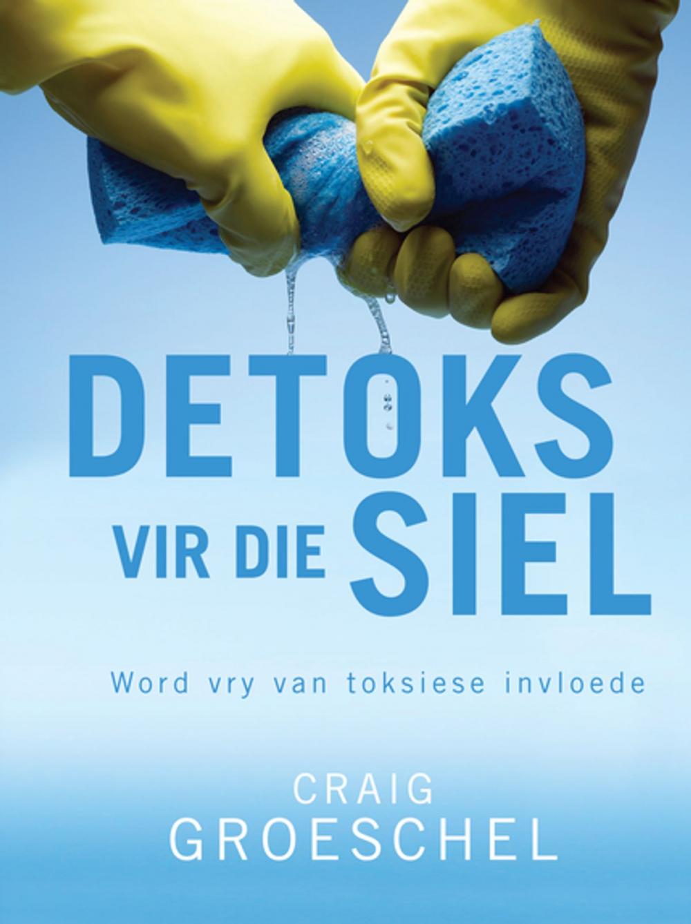 Big bigCover of Detoks vir die siel (eBoek)