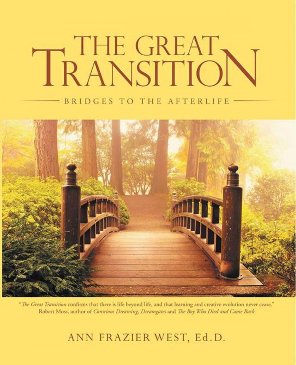 Big bigCover of The Great Transition