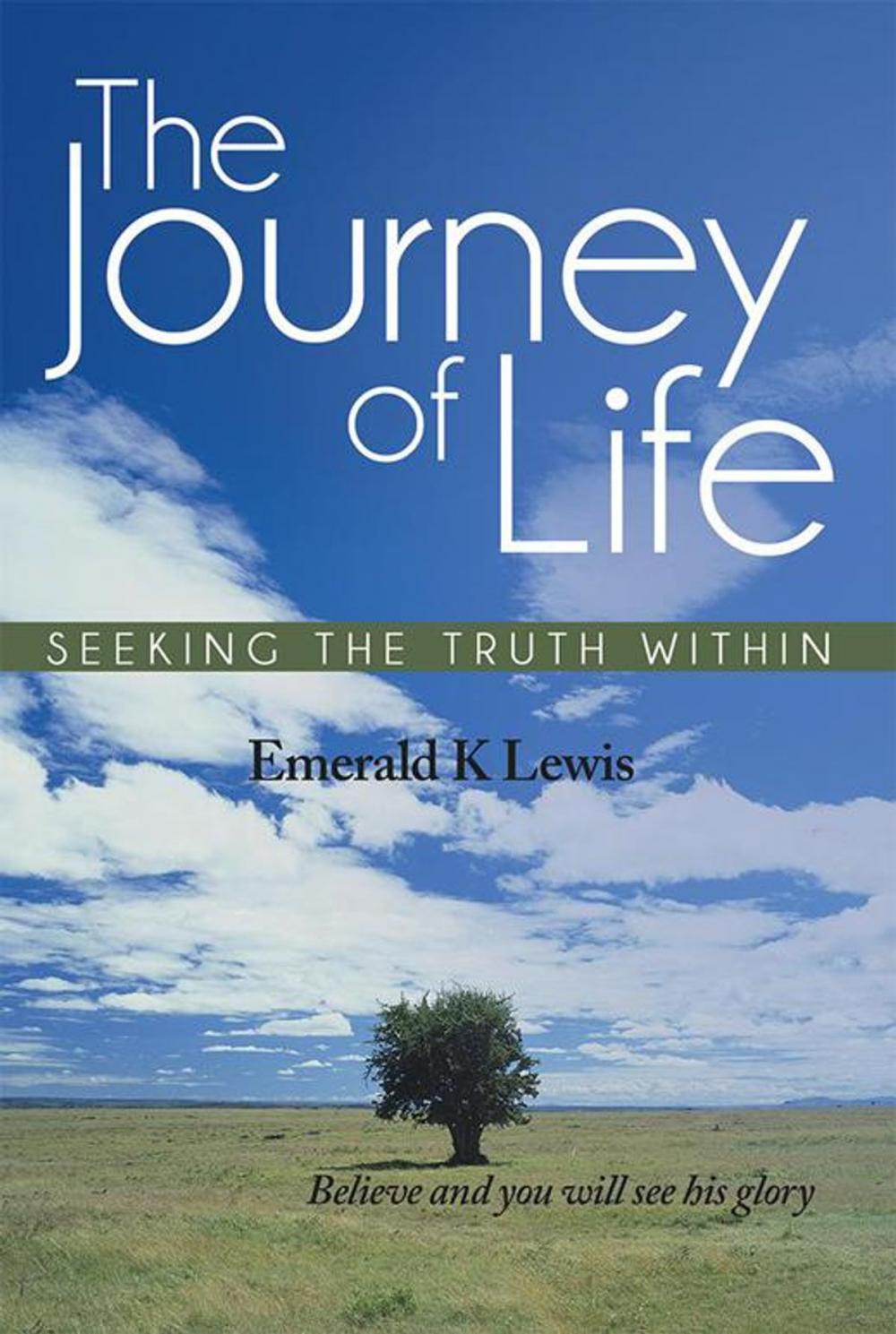 Big bigCover of The Journey of Life