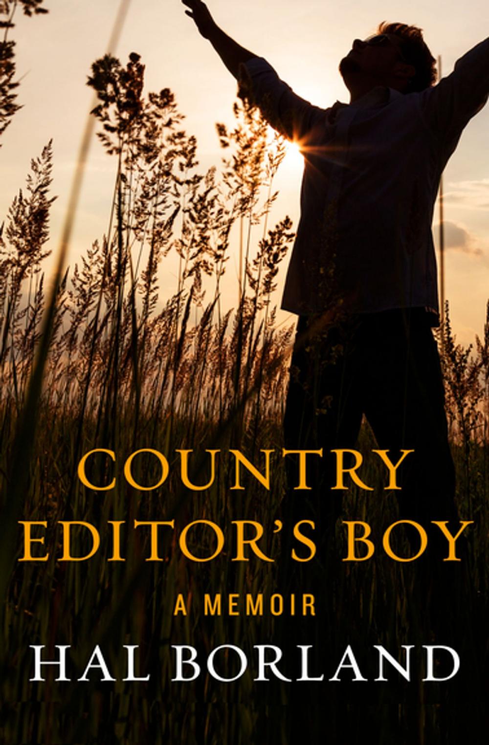 Big bigCover of Country Editor's Boy