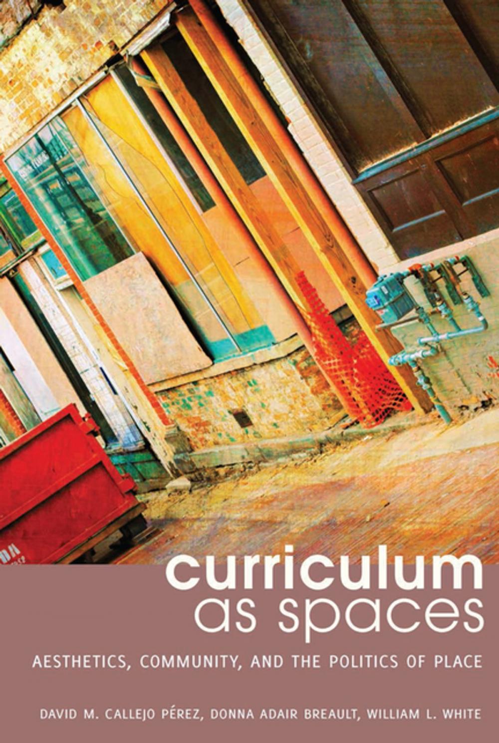 Big bigCover of Curriculum as Spaces