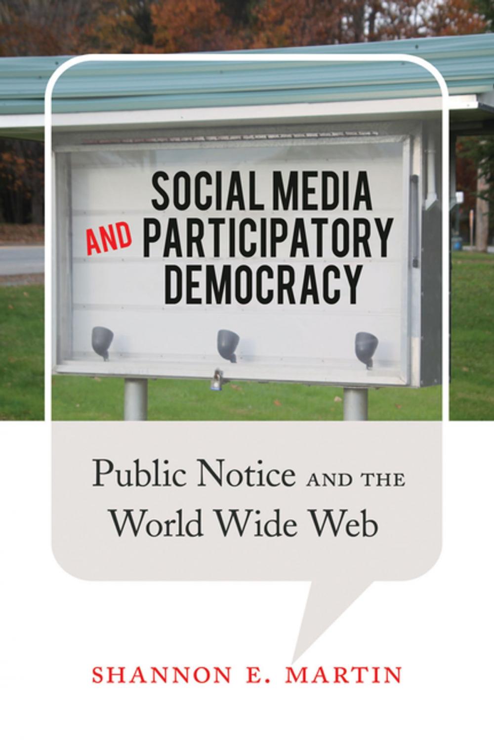 Big bigCover of Social Media and Participatory Democracy