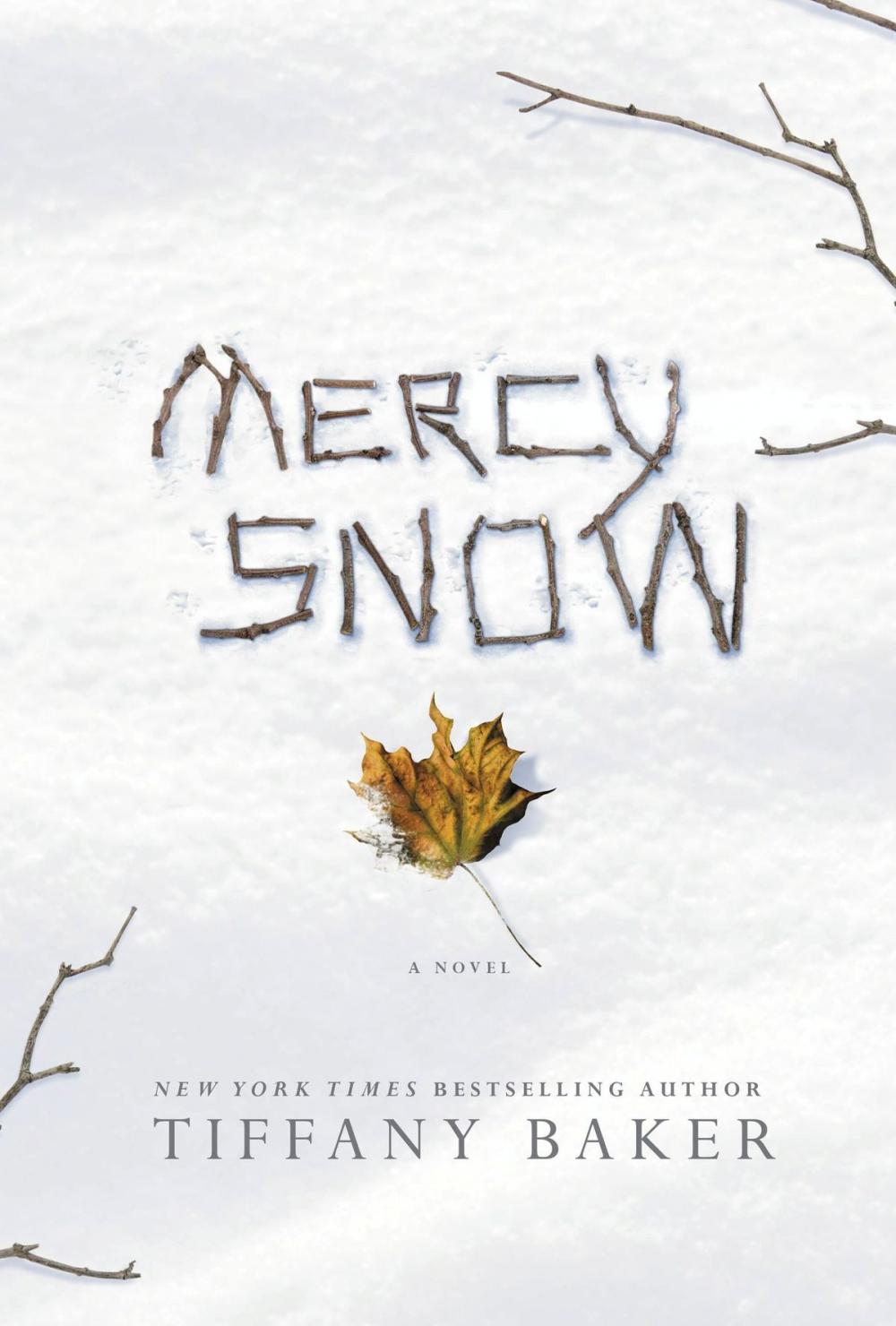 Big bigCover of Mercy Snow