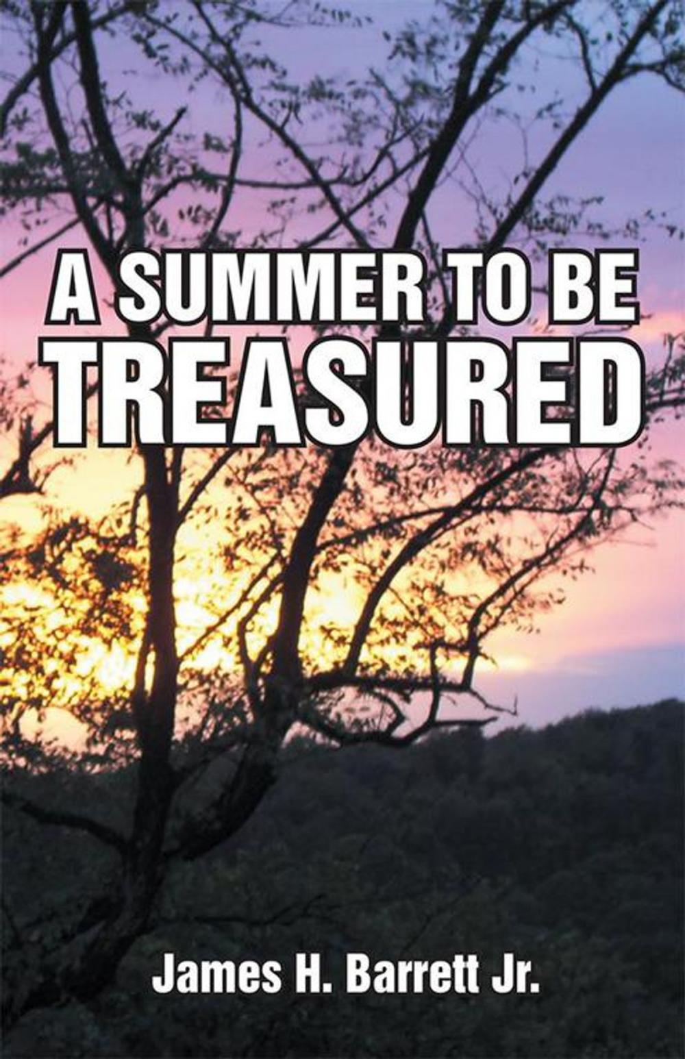 Big bigCover of A Summer to Be Treasured