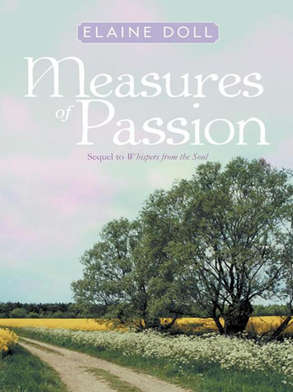 Big bigCover of Measures of Passion