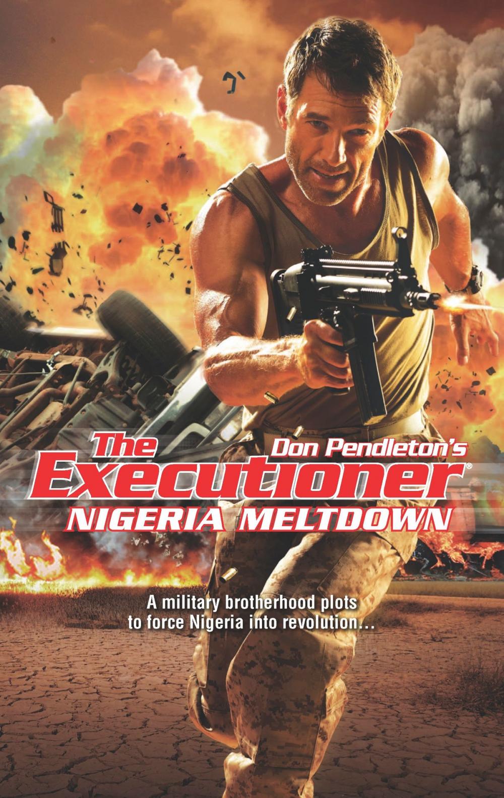 Big bigCover of Nigeria Meltdown