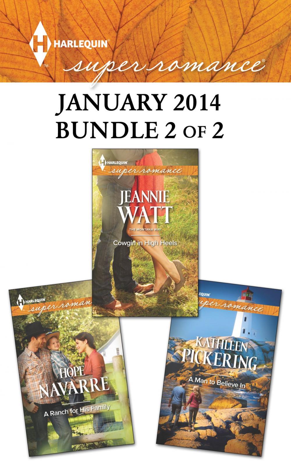 Big bigCover of Harlequin Superromance January 2014 - Bundle 2 of 2