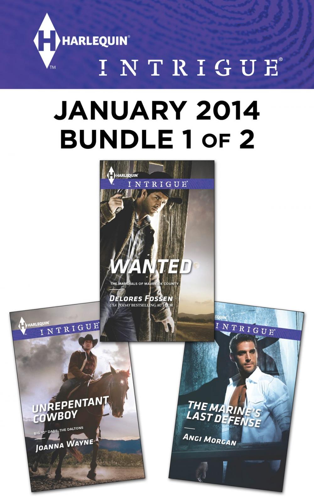 Big bigCover of Harlequin Intrigue January 2014 - Bundle 1 of 2