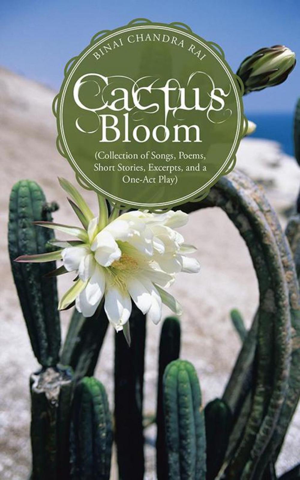 Big bigCover of Cactus Bloom