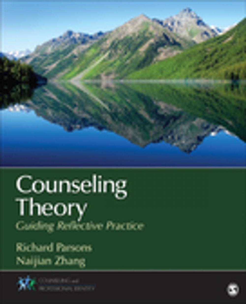 Big bigCover of Counseling Theory