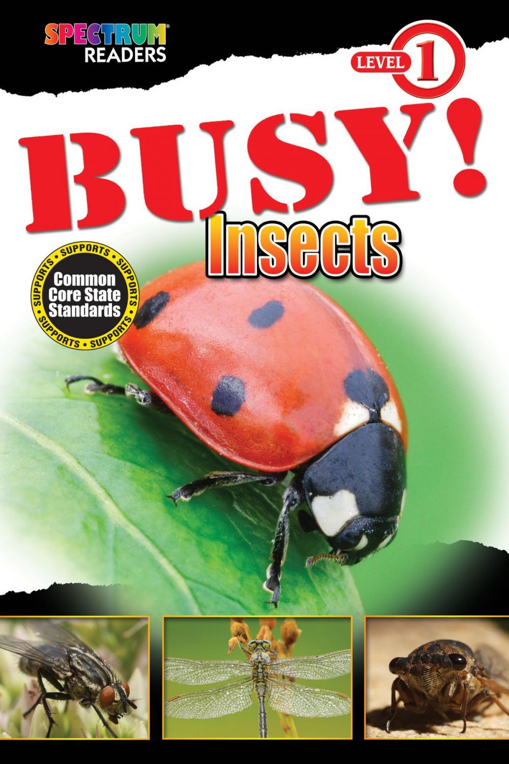 Big bigCover of BUSY! Insects