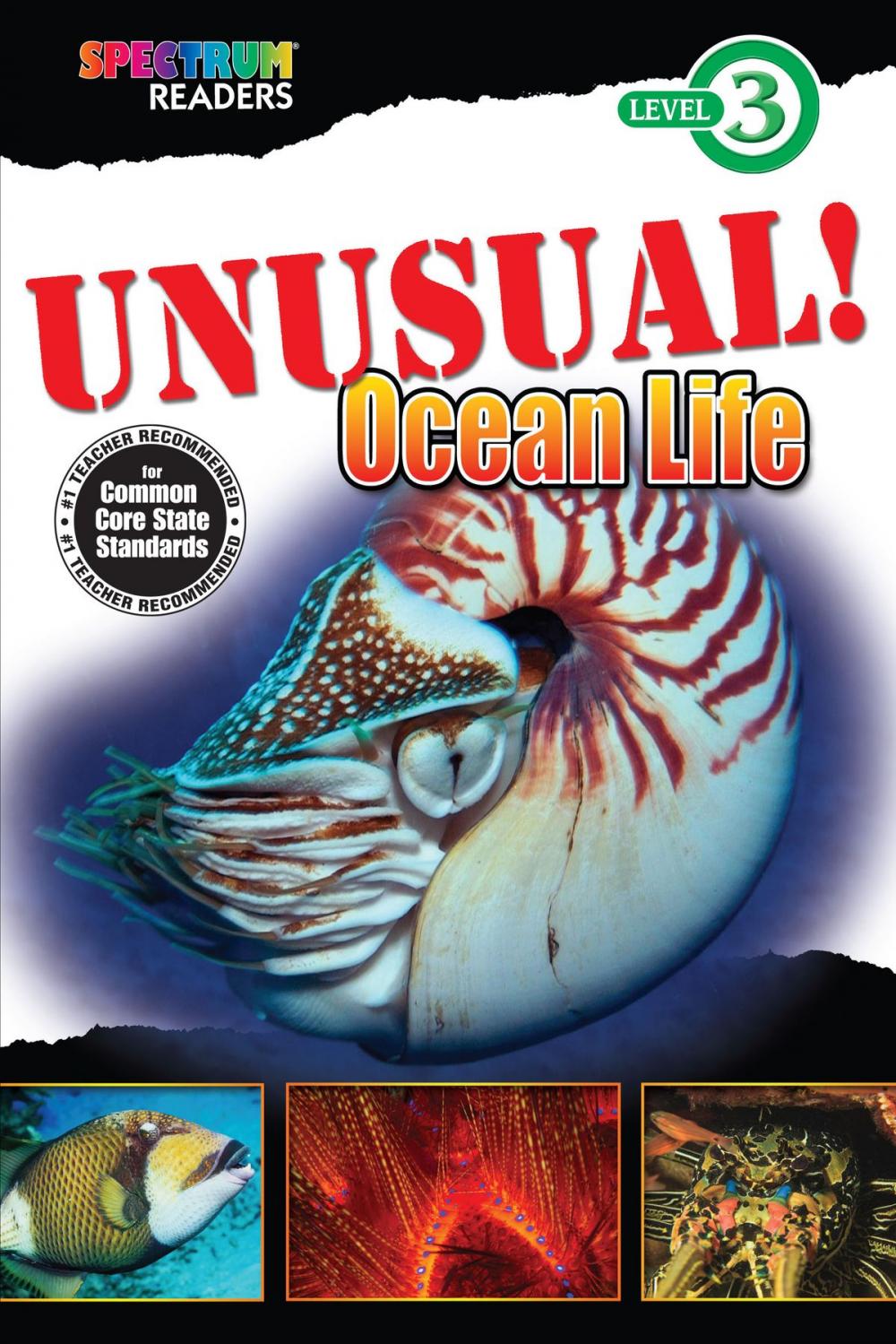 Big bigCover of UNUSUAL! Ocean Life