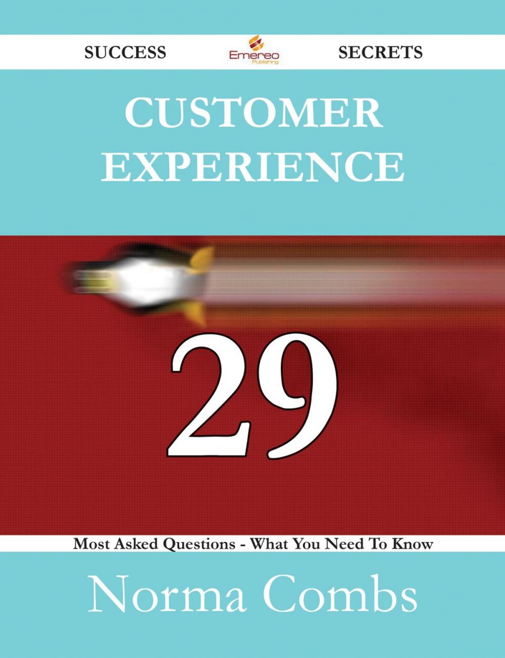 Big bigCover of Customer Experience 29 Success Secrets - 29 Most Asked Questions On Customer Experience - What You Need To Know