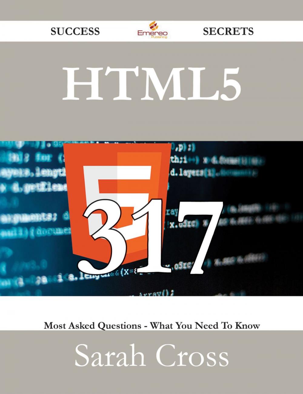 Big bigCover of HTML5 317 Success Secrets - 317 Most Asked Questions On HTML5 - What You Need To Know