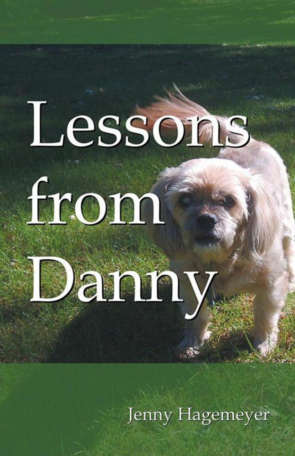 Big bigCover of Lessons from Danny