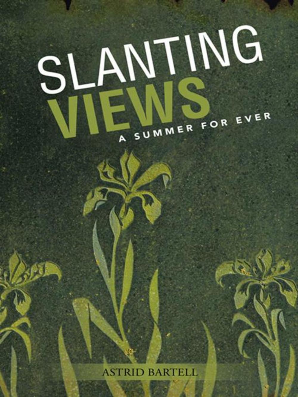 Big bigCover of Slanting Views