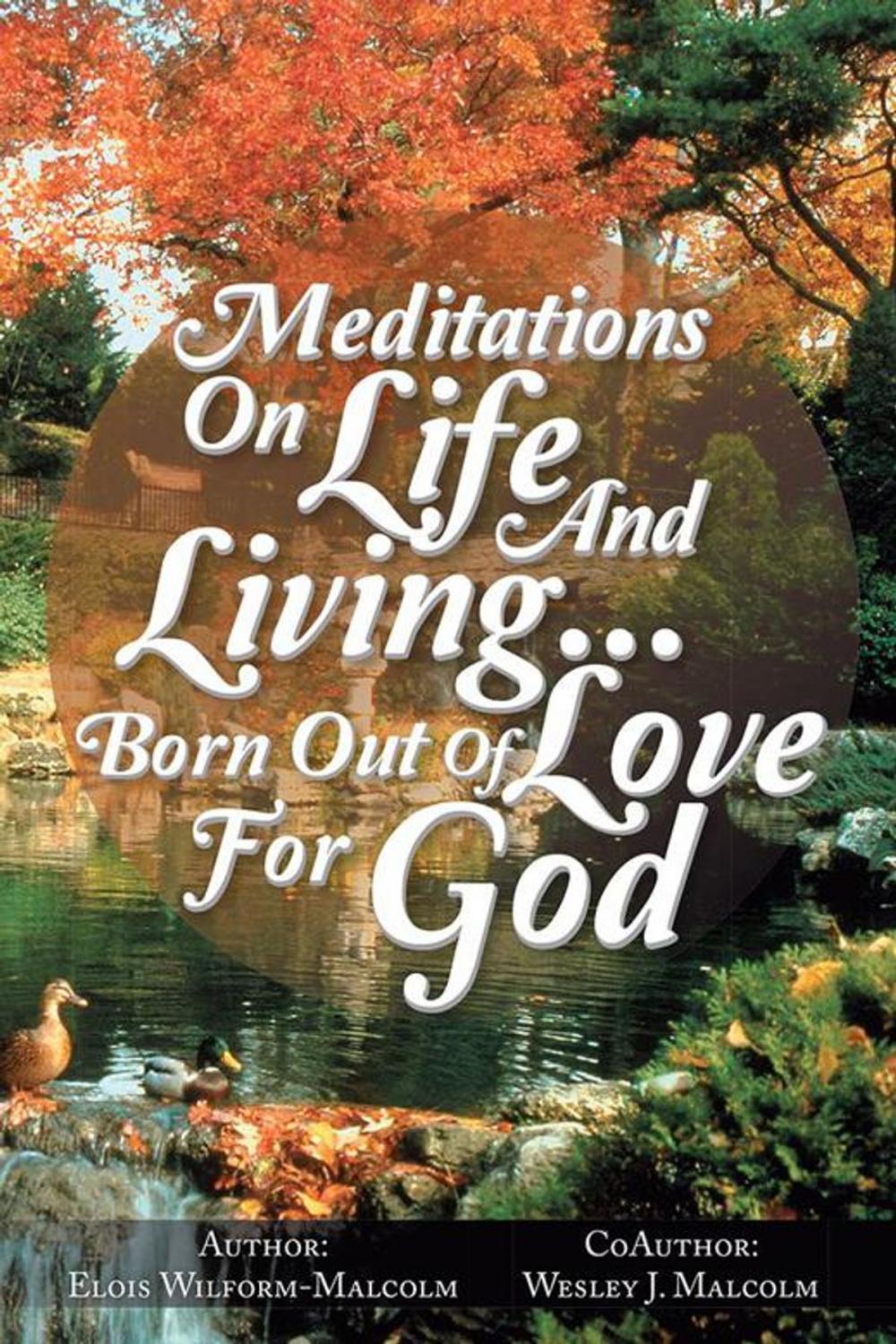 Big bigCover of Meditations on Life and Living…Born out of Love for God