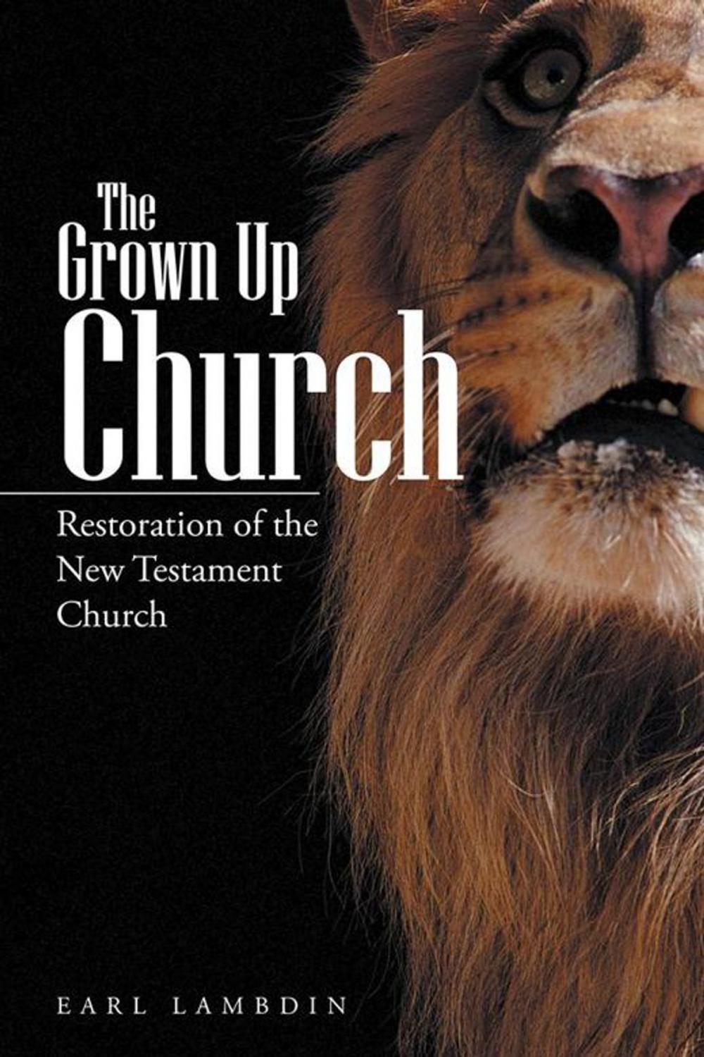 Big bigCover of The Grown up Church