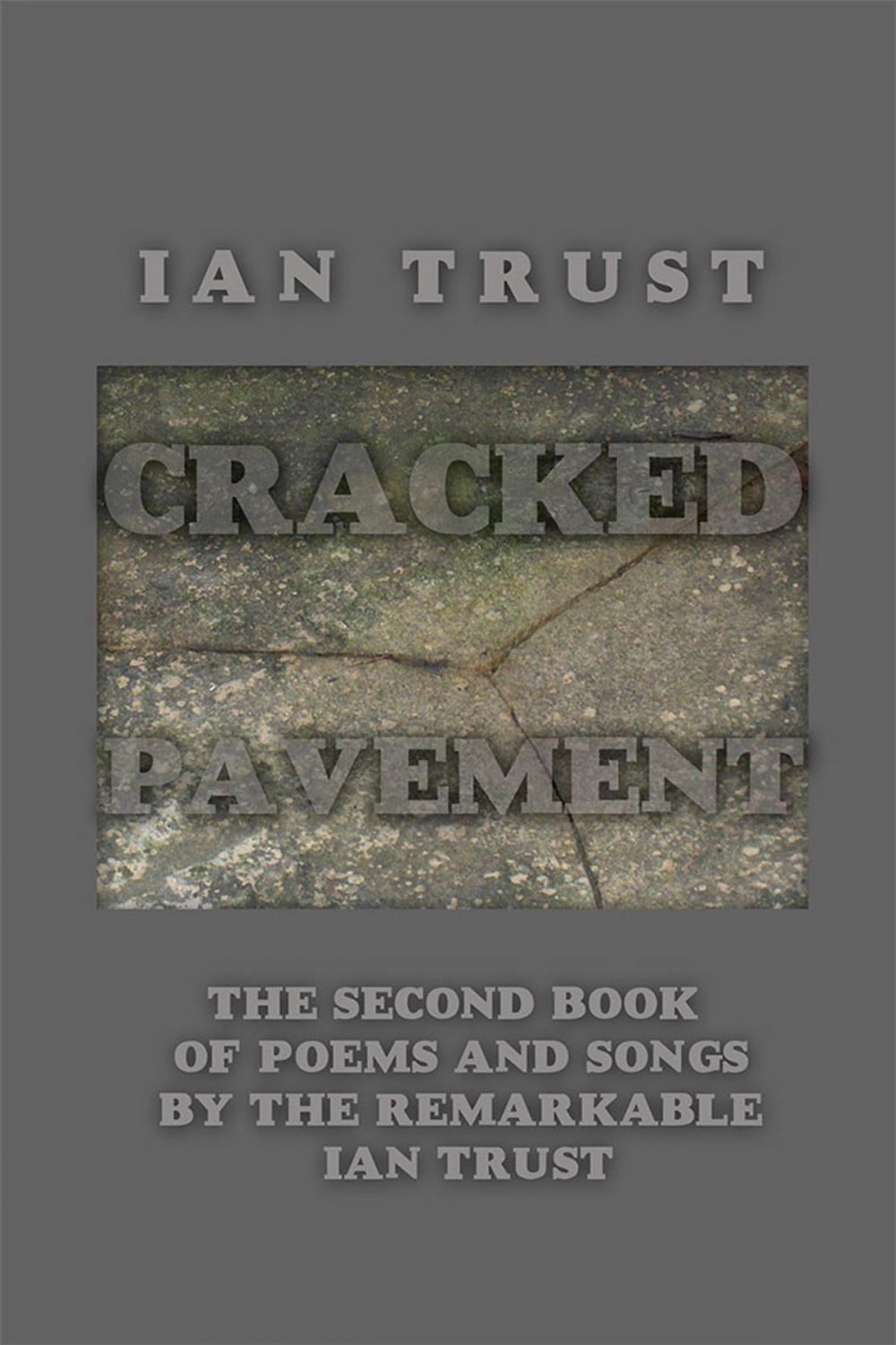 Big bigCover of Cracked Pavement