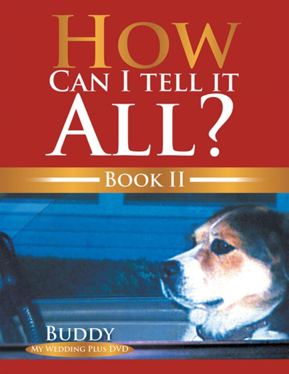 Big bigCover of How Can I Tell It All? Book Ii