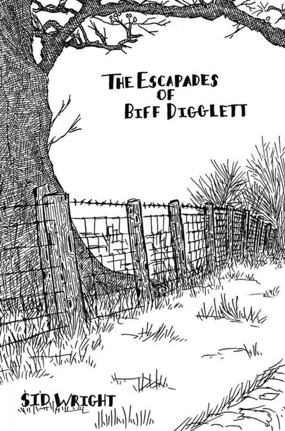 Big bigCover of The Escapades of Biff Digglett