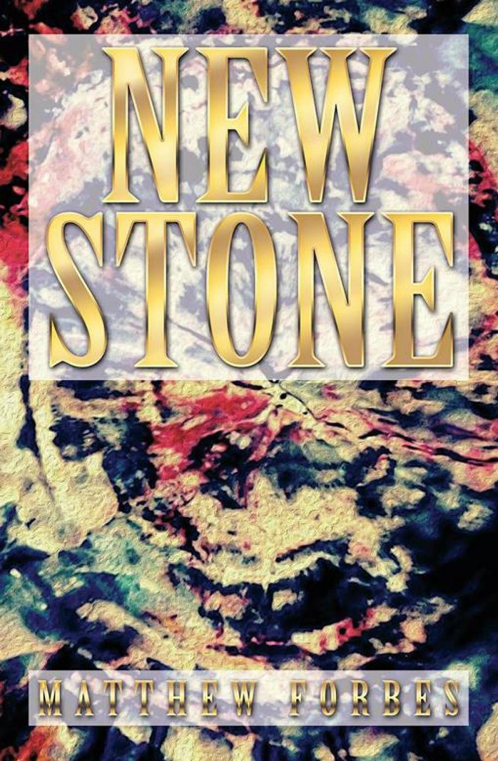 Big bigCover of New Stone