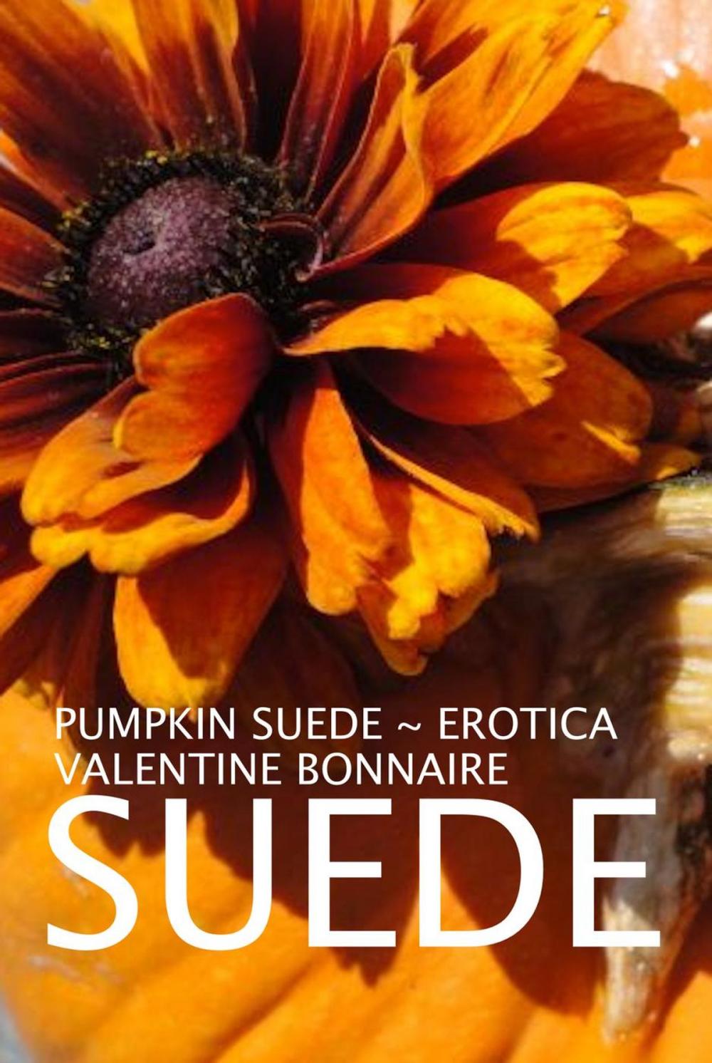 Big bigCover of Pumpkin Suede