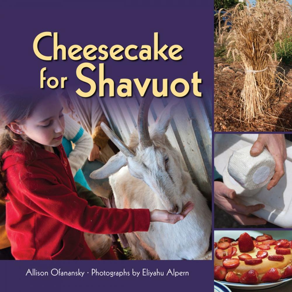 Big bigCover of Cheesecake for Shavuot