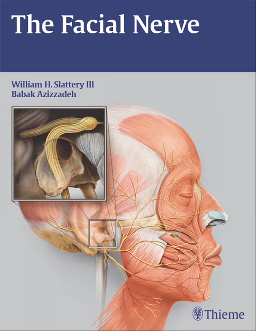 Big bigCover of Facial Nerve