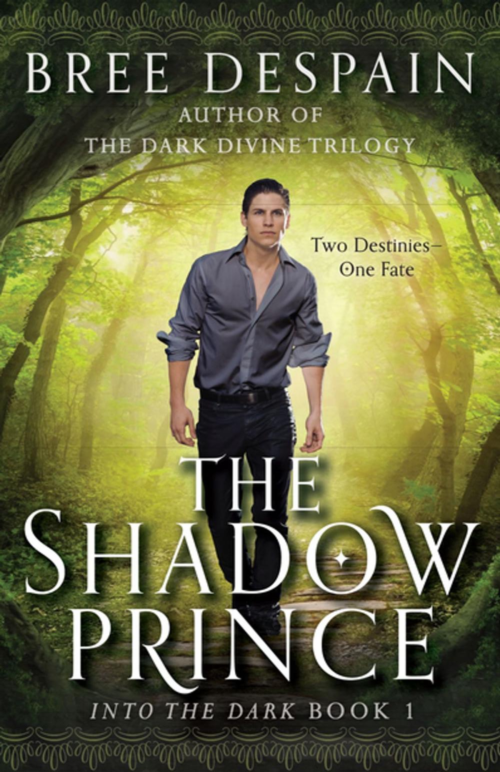 Big bigCover of The Shadow Prince