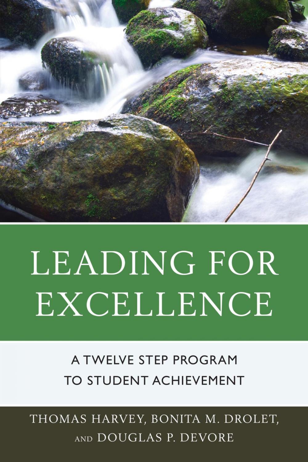 Big bigCover of Leading for Excellence