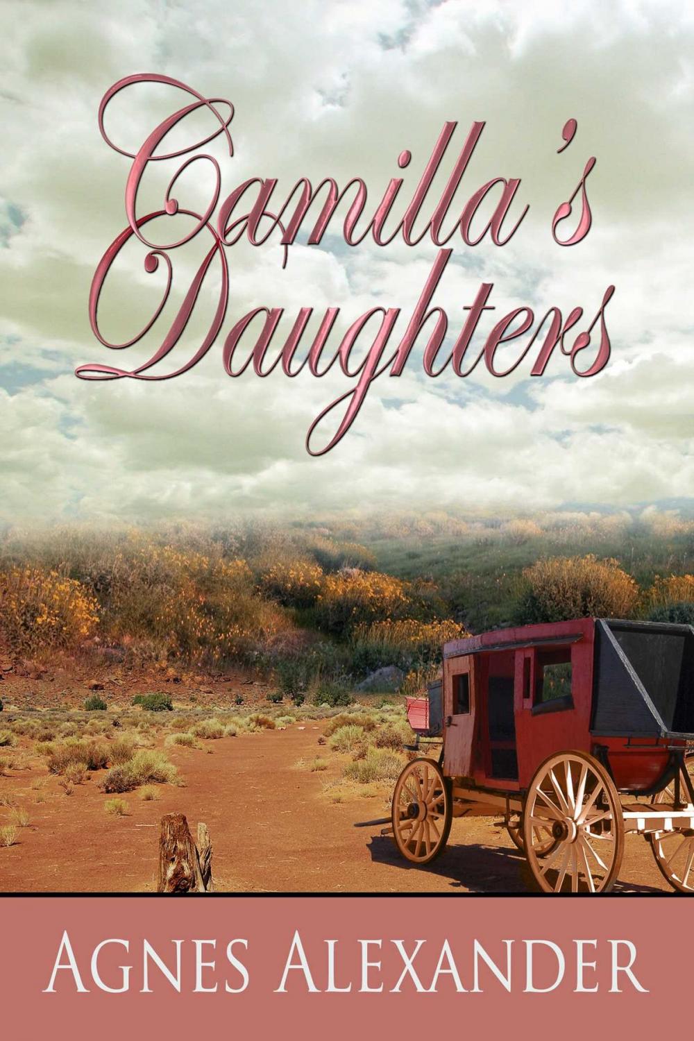 Big bigCover of Camilla's Daughter