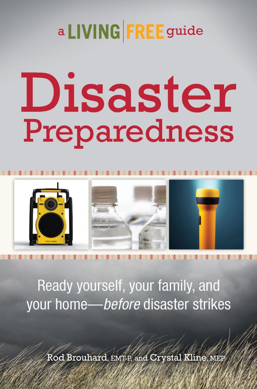 Big bigCover of Disaster Preparedness