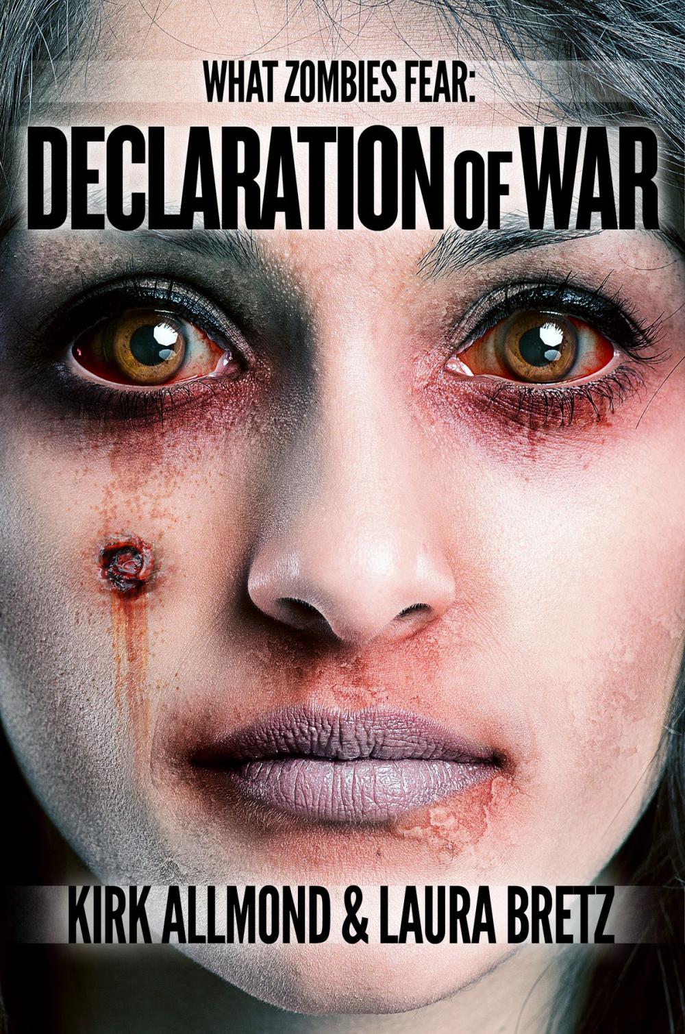 Big bigCover of What Zombies Fear 5: Declaration of War