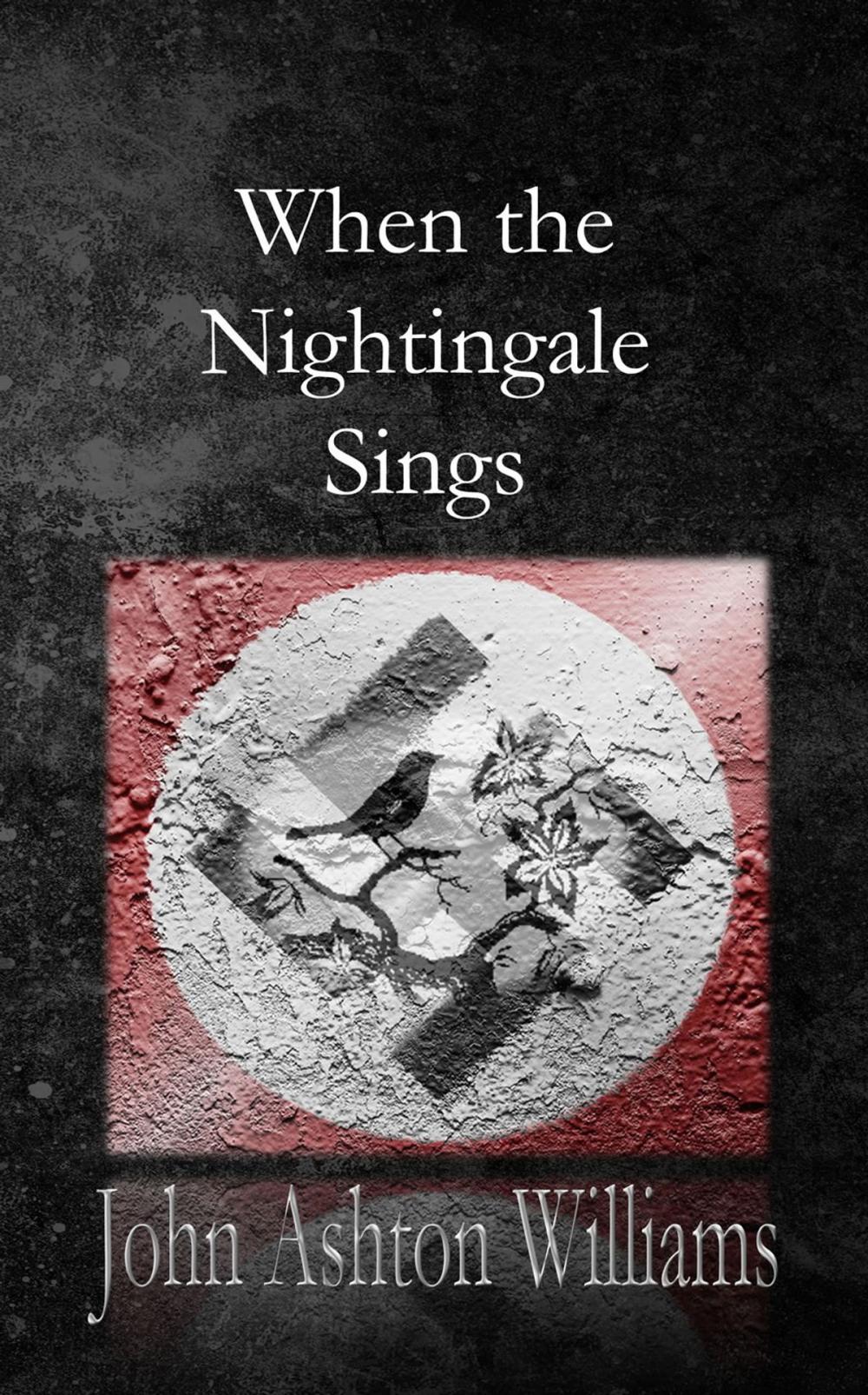 Big bigCover of When the Nightingale Sings