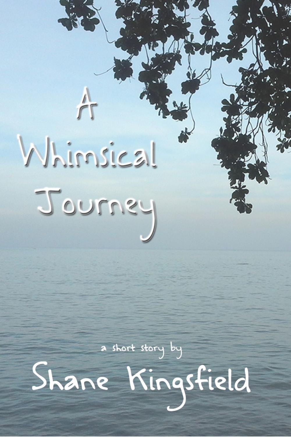 Big bigCover of A Whimsical Journey