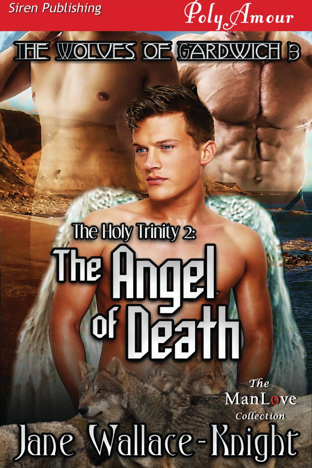 Big bigCover of The Holy Trinity 2: The Angel of Death