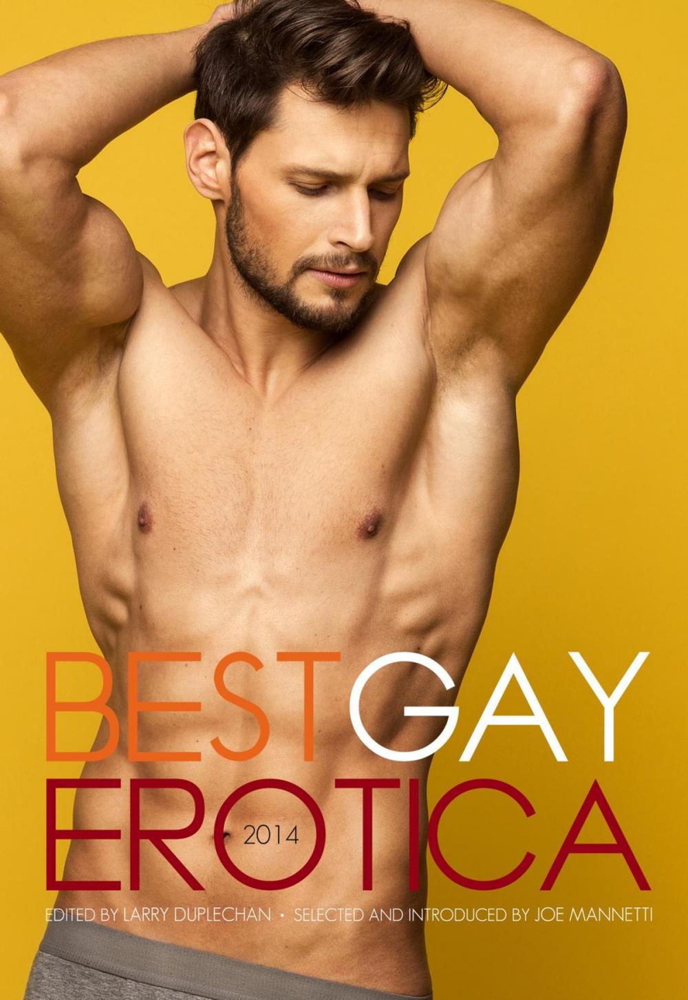 Big bigCover of Best Gay Erotica 2014