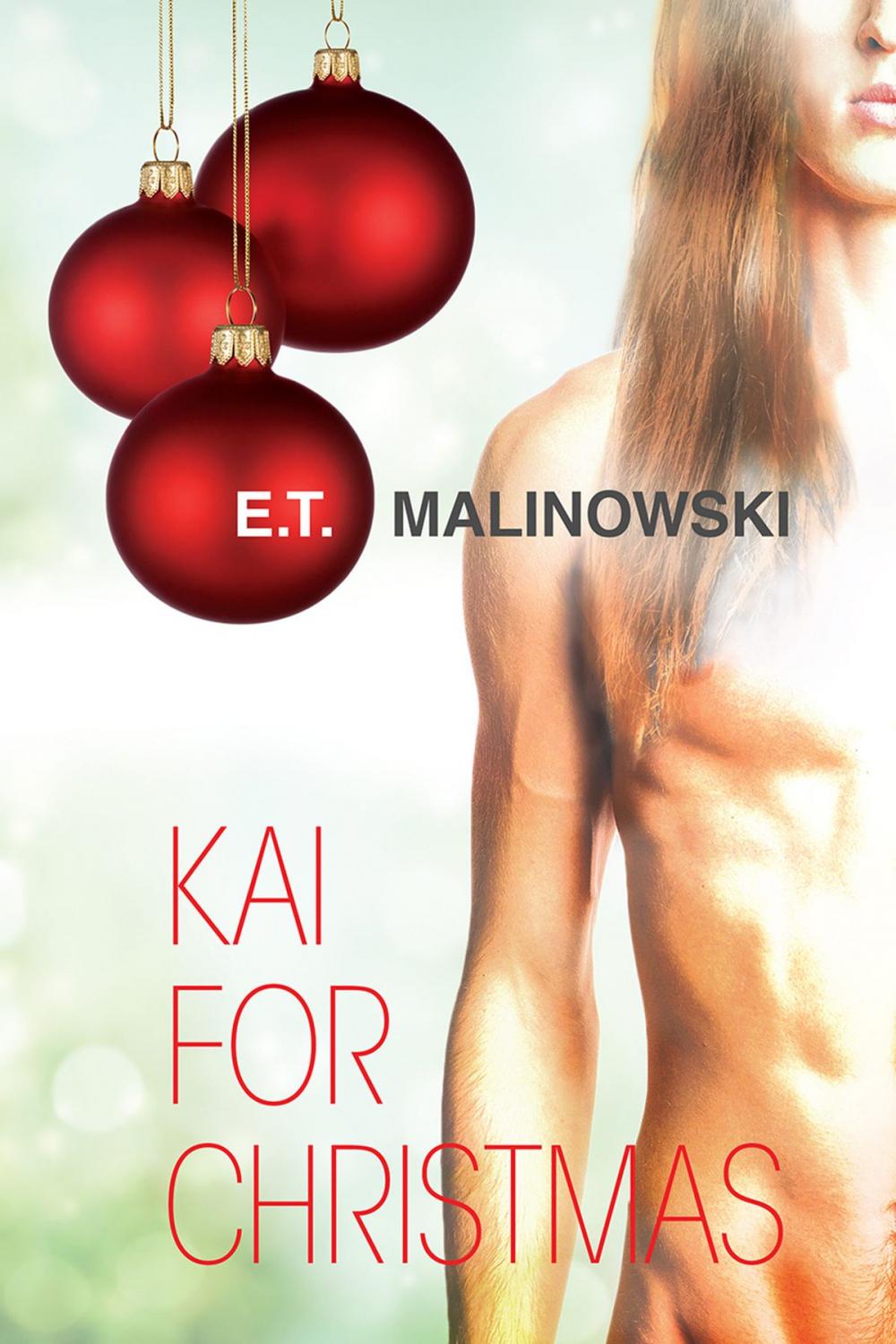 Big bigCover of Kai for Christmas