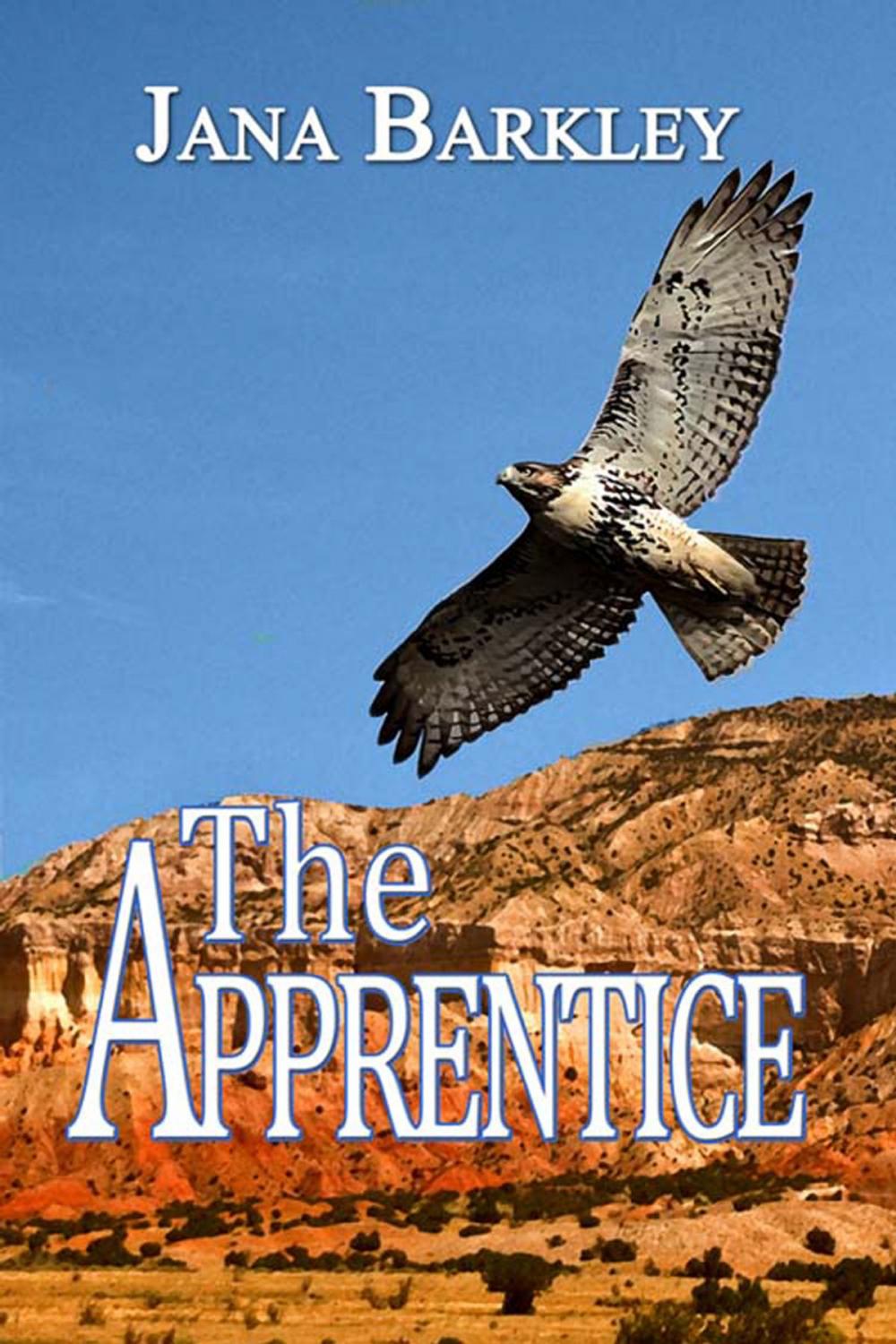 Big bigCover of The Apprentice